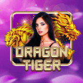 Dragon Tiger pgoto live game