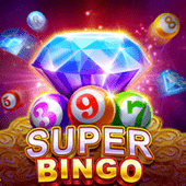 Super Bingo pgoto game