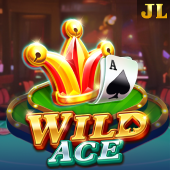 Wild Ace pgoto slot